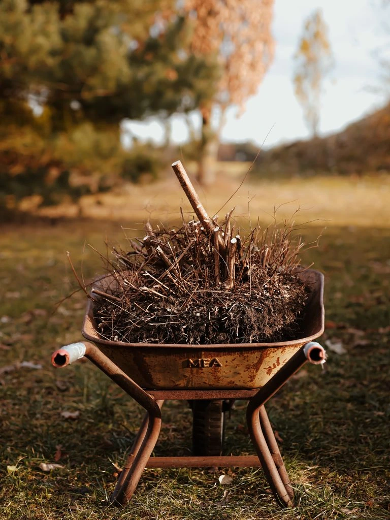 A gardener's hands planting a tomato seedling into a raised bed of dark soil.
