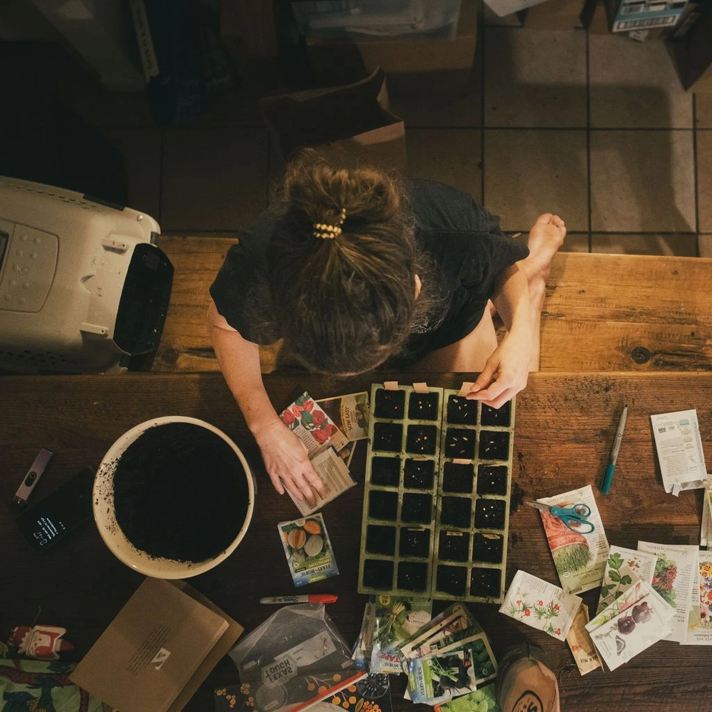 An indoor seed-starting setup under a shop light.