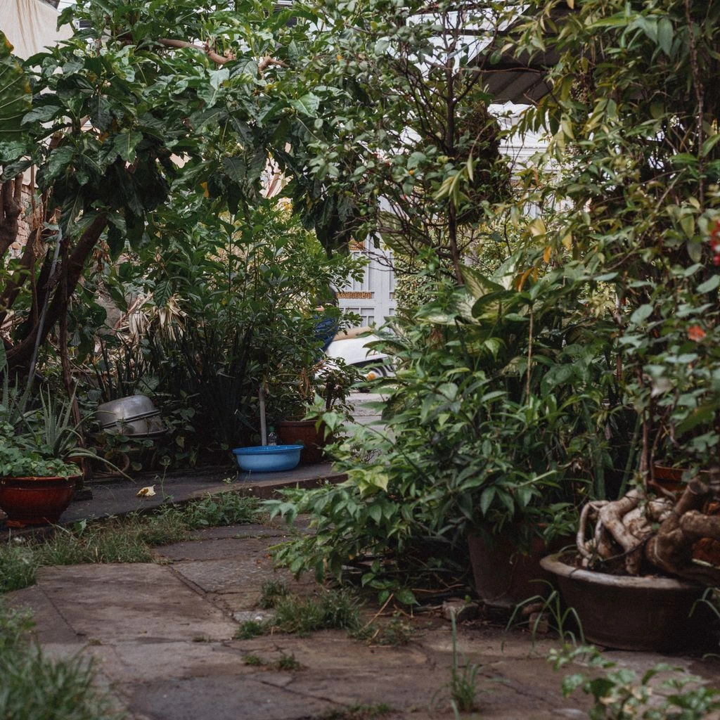 Lush shade garden with hostas, ferns, and astilbes.